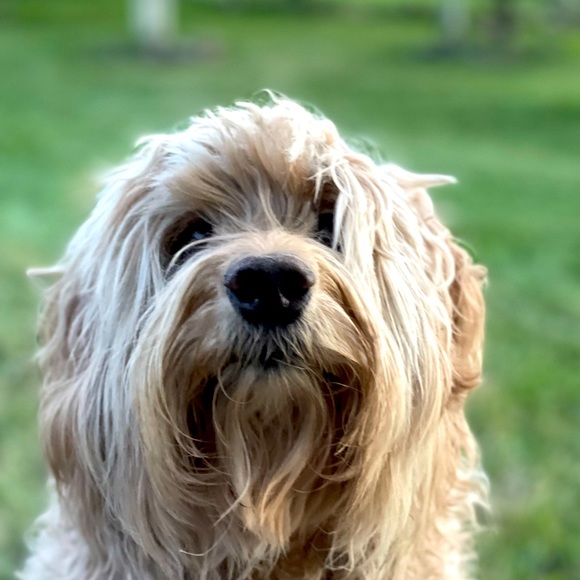 Adventure in my heart, pearls on my wrist-Free spirit wrapped in a silk scarf. - Picture 16 of 16